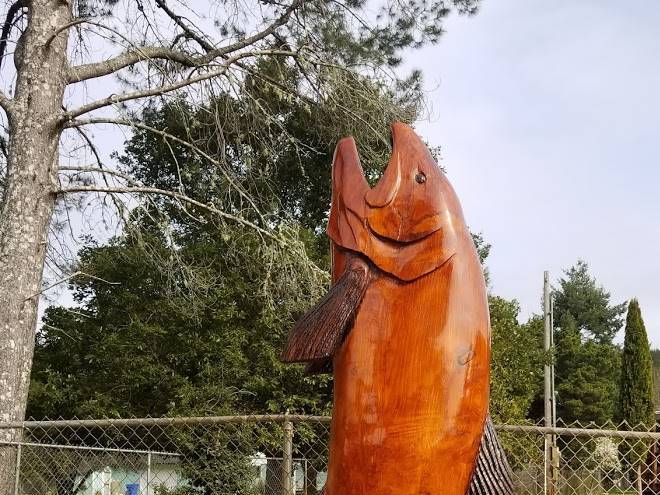 Lucky lodge rv park
