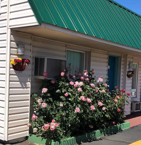 Rainbow motel