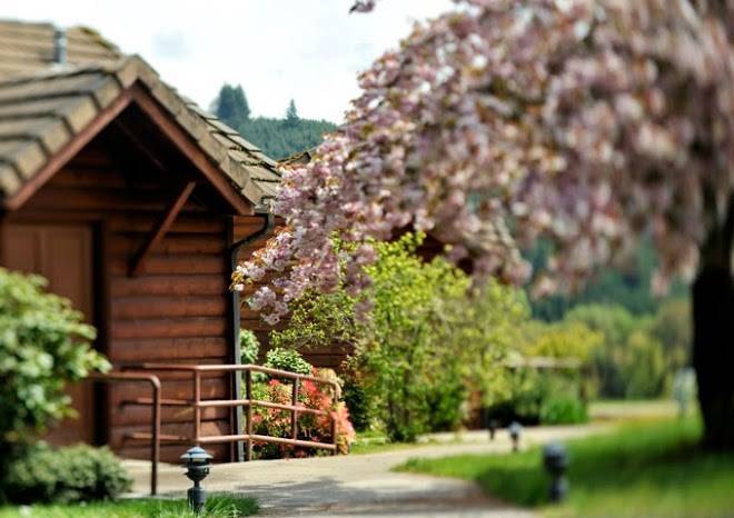 Big k guest ranch & outfitters