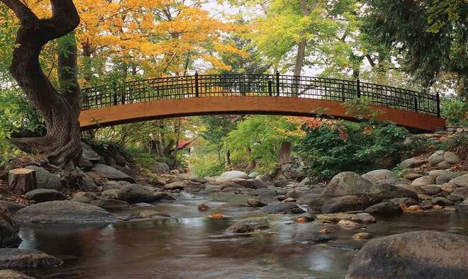 Ashland commons