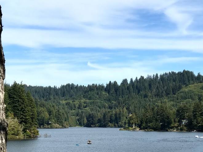 Mercer lake resort