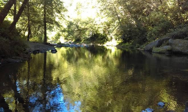 Salmon river rv llc