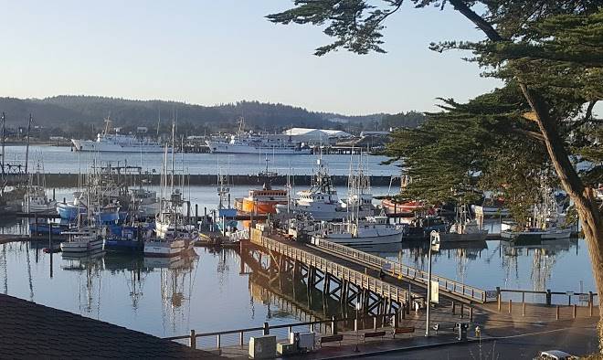 Smugglers cove resort