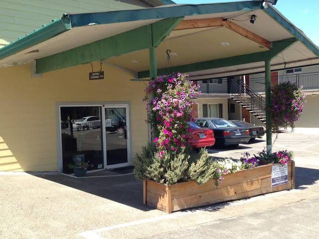 Cameo motel