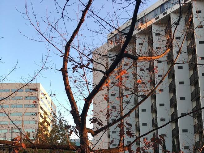 Marriott