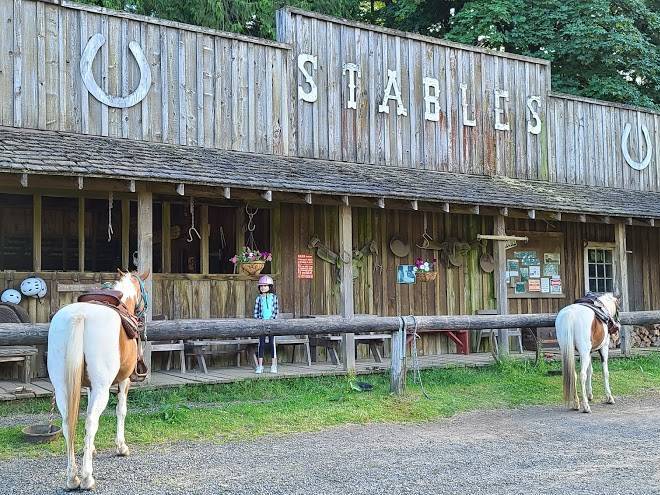 Flying m ranch
