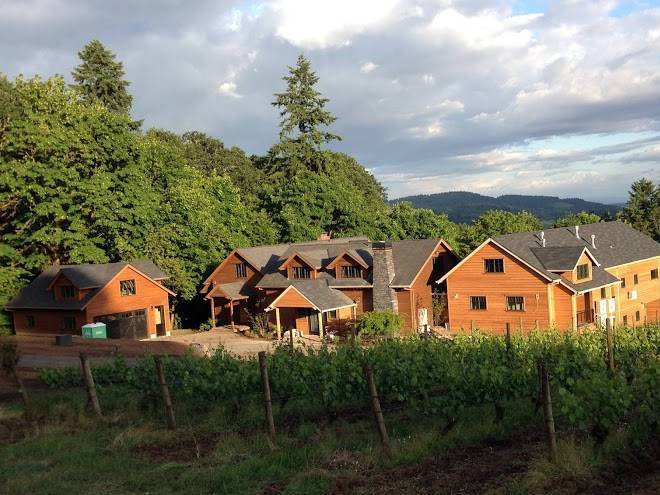 Vineyard view inn
