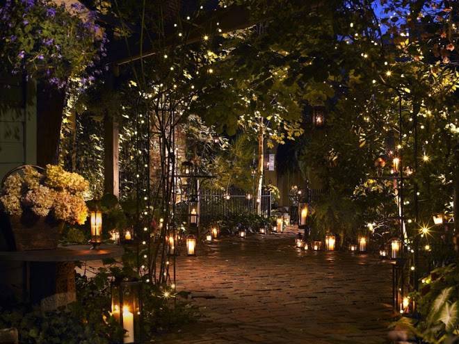 Morning Glory Inn Image