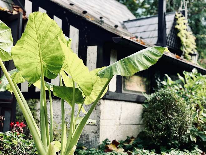 Inn at phillips mill restaurant