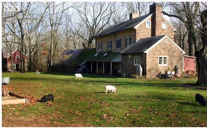 Ross mill farm inc