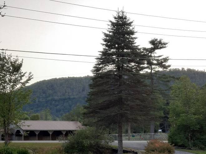 Creekside inn at sizervill