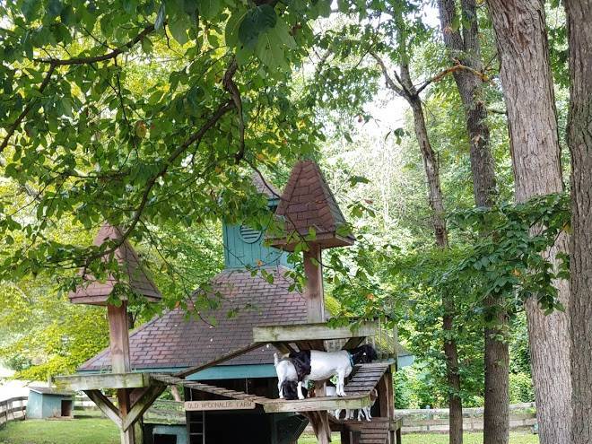 Lake raystown resort an rvc outdoor destination