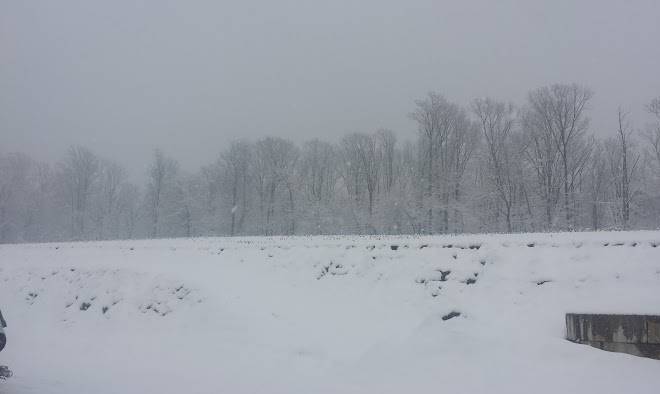 Neffdale farm of paradise