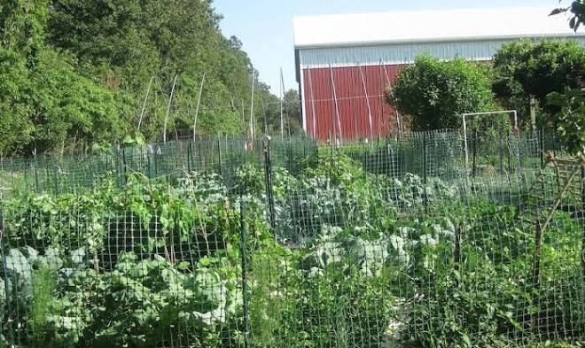 Flint hill farm educational center inc