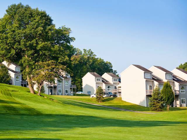 Tree tops and fairway