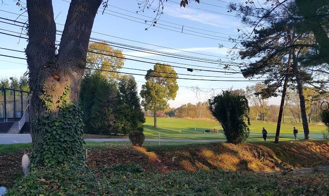 Gulph mills golf club