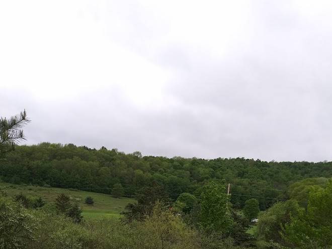 Potter county gasthaus