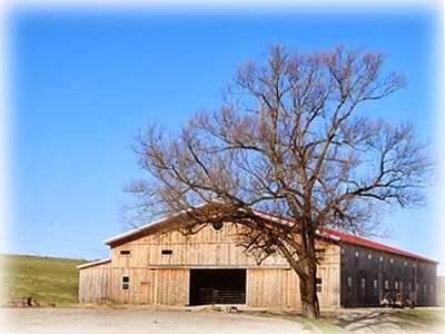 Horizon view farms