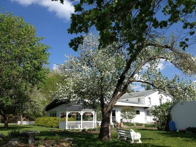 Lukan's farm resort