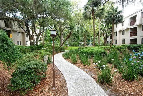 Sands village at forest beach