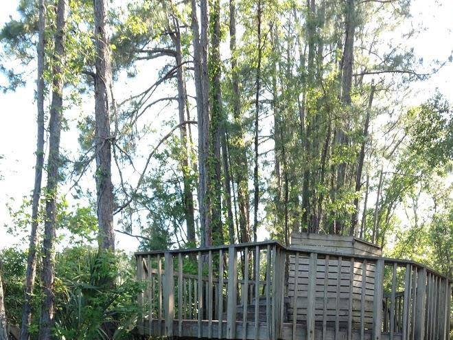 Sea Pines CSA