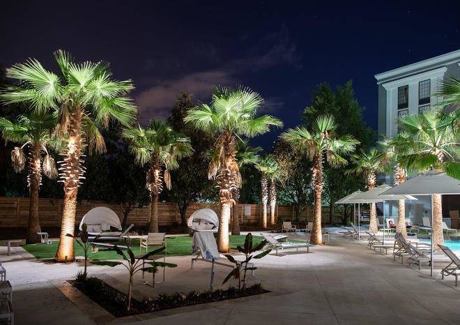 Hotel indigo mount pleasant