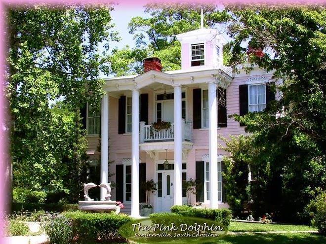 The pink dolphin bed and breakfast