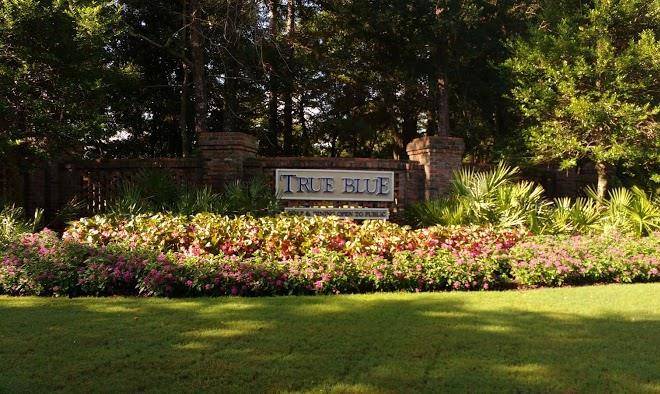 Pawley's True Blue Image