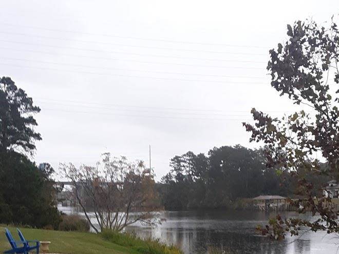 Blue Green Resort Meet Image