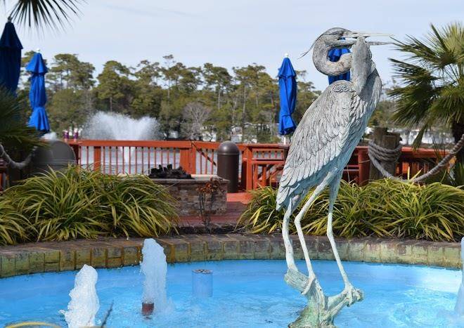 Myrtle beach travel park