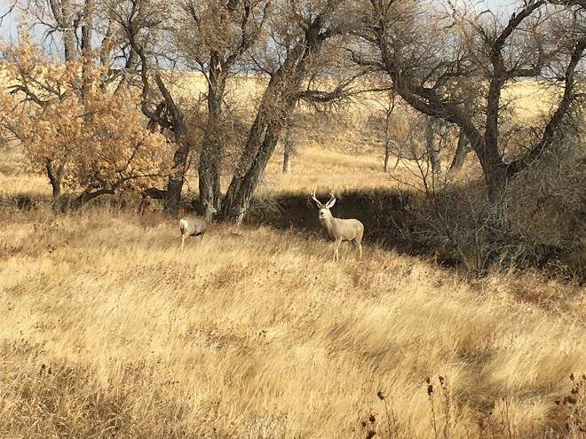 Crow creek guest ranch