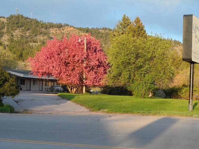 Dollar inn hot springs