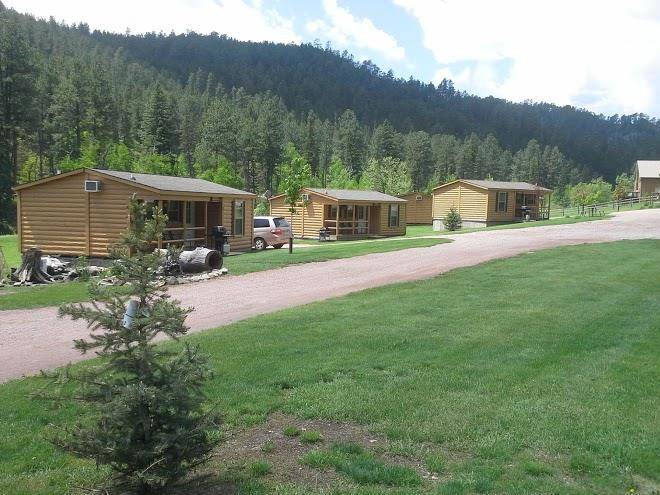 American pines cabins
