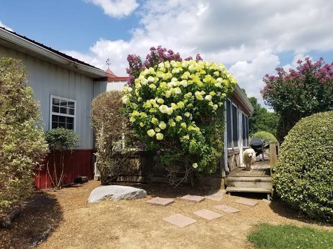 Clearview horse farm