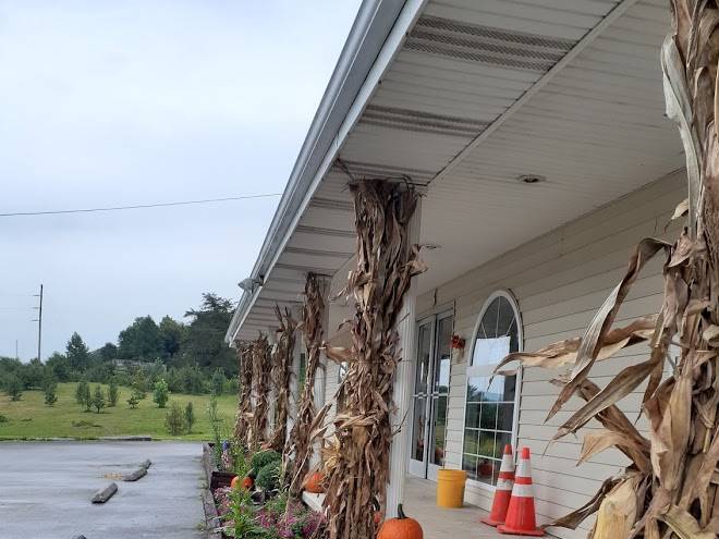 Jellico motel