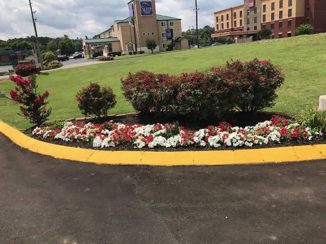 Lotus inn and suites nashville
