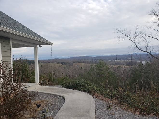 River overlook