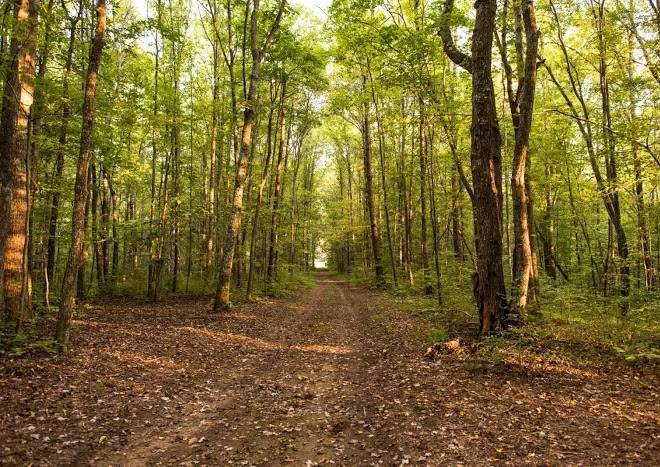 Belle And Beau Acres Image