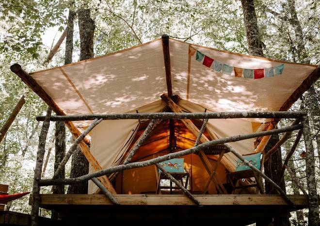 Canopy ridge