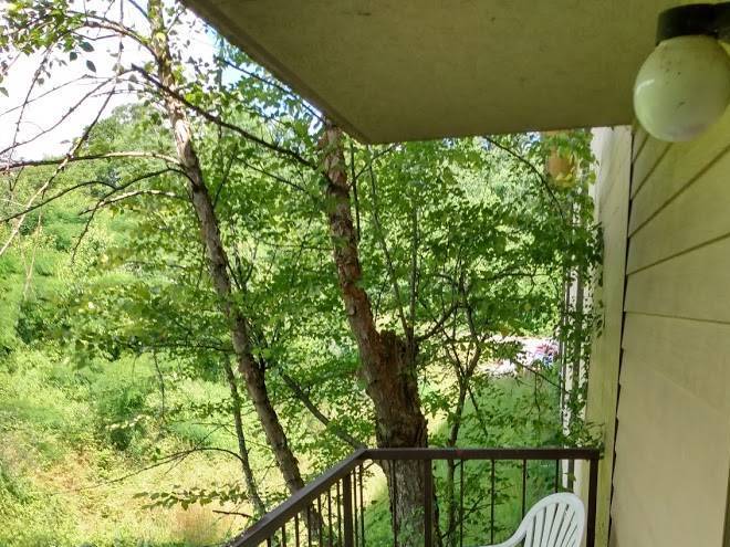 Evergreen smokey mountain lodge & cva