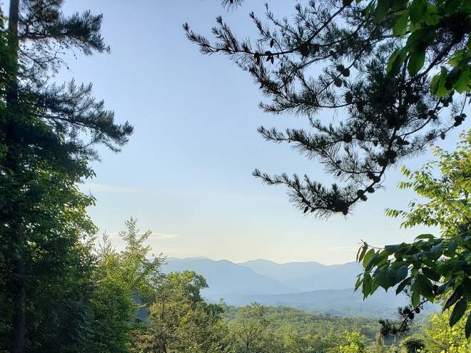 Smokeyview seclusion