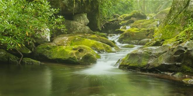 Smoky mountain resorts
