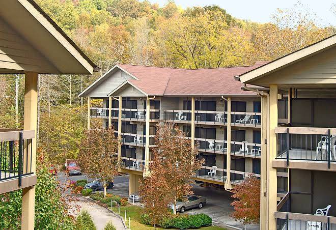 Tree tops resort
