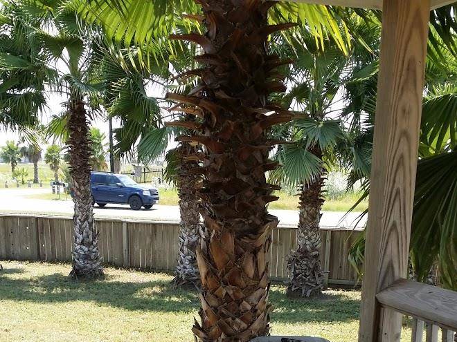 The last resort rv park rockport texas