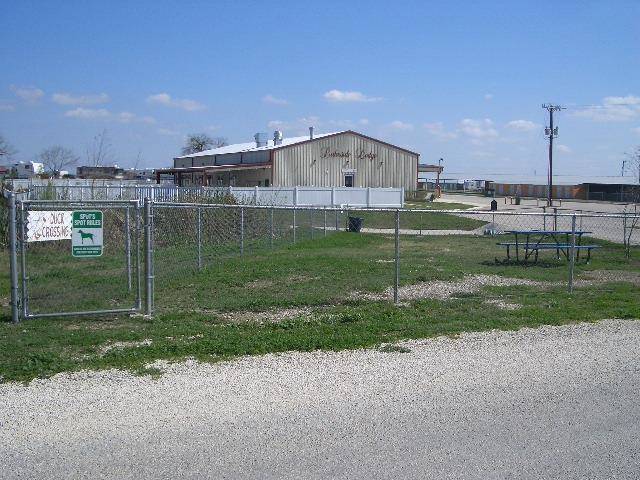Braunig lake rv resort