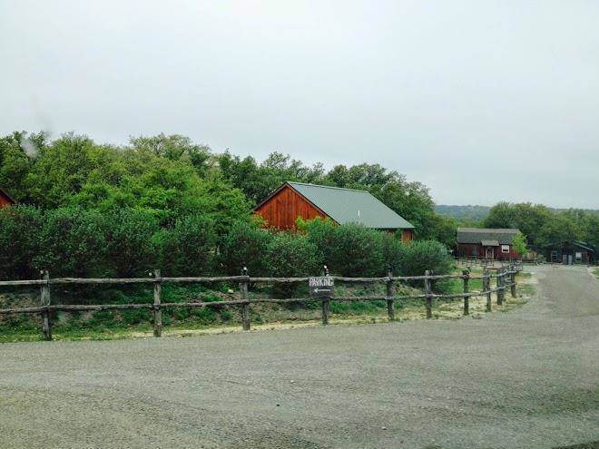 Hillside acres retreat