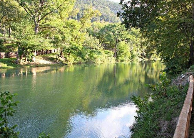 Little ponderosa river retreat