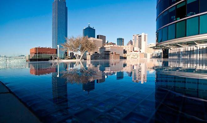 Omni dallas hotel