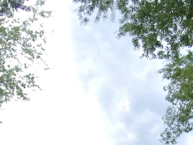 Retreat at lake cypress