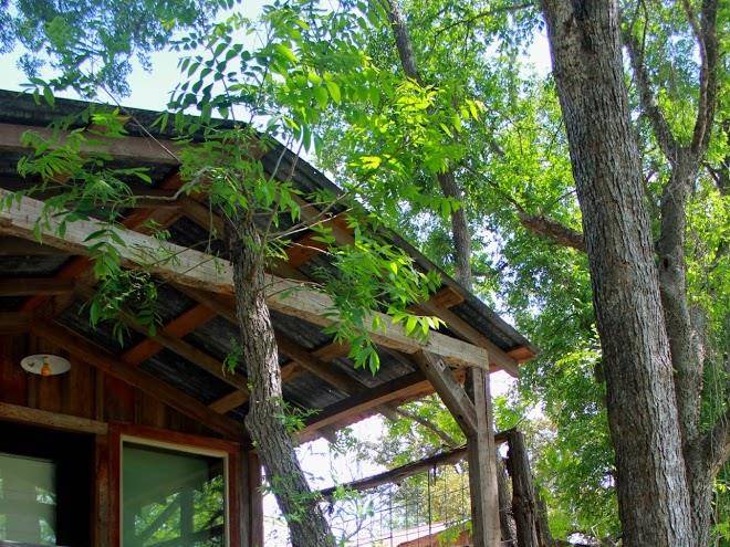 Luckenbach lodge